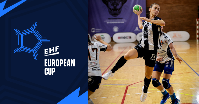 RFEBalonmano tweet media