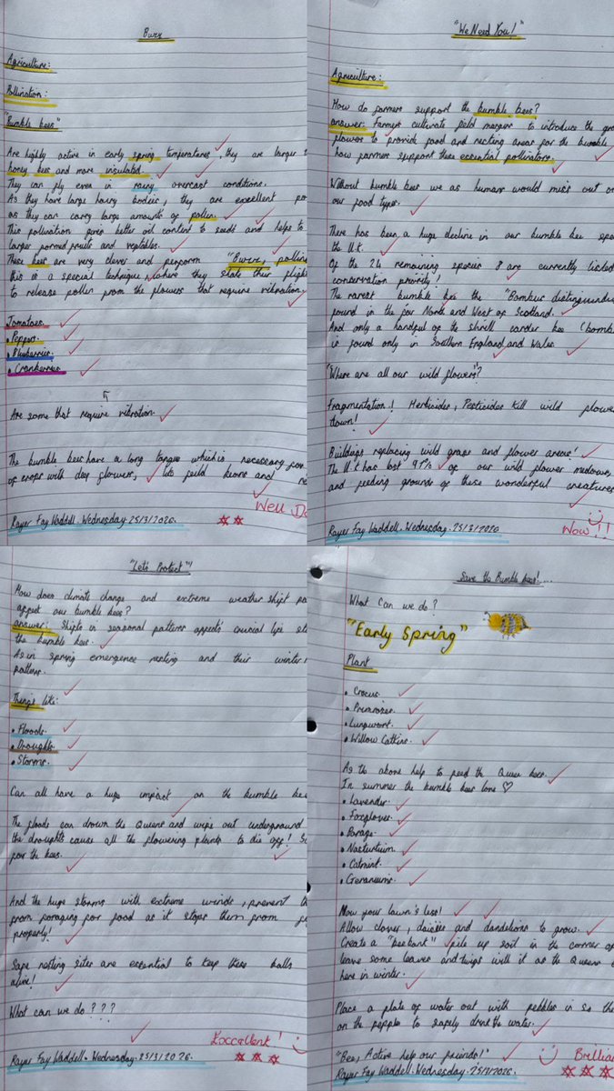 TheWaddells74 tweet media