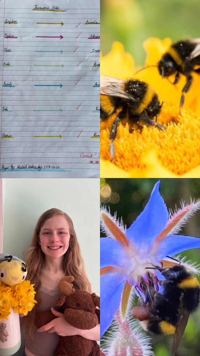 TheWaddells74 tweet media