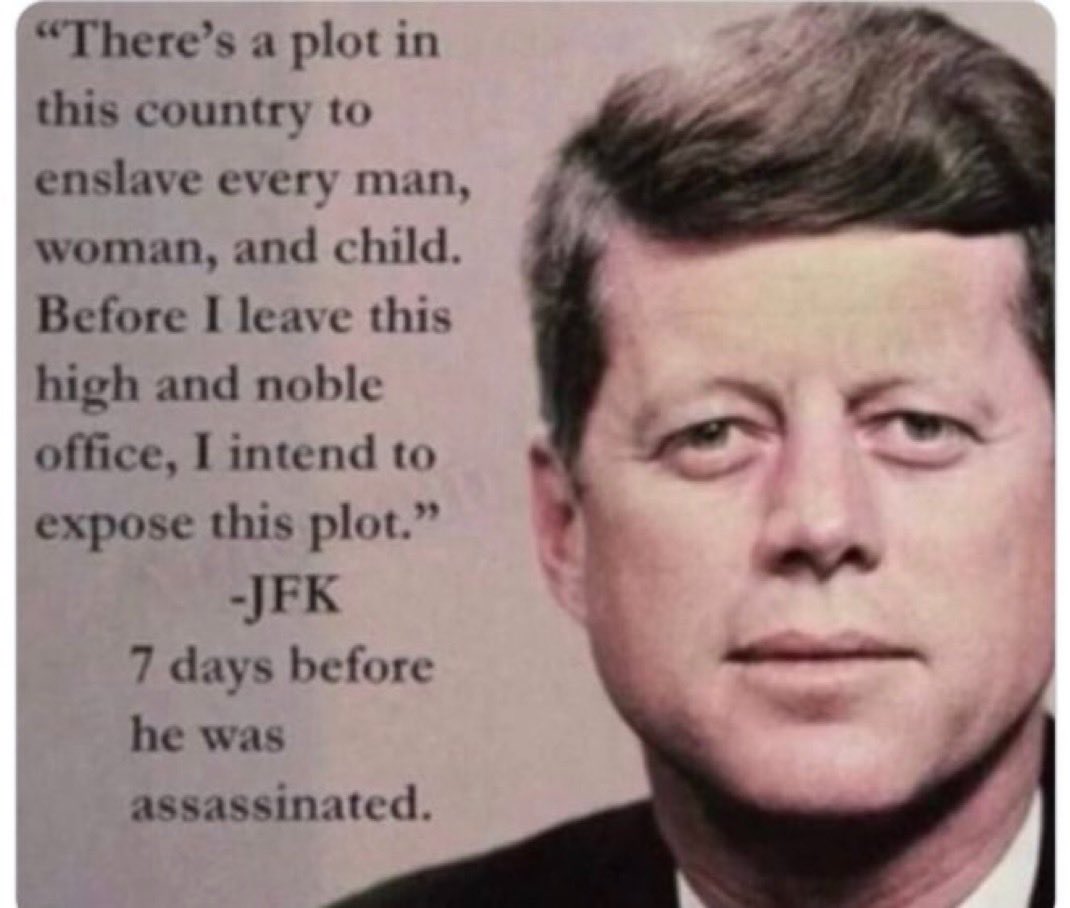 Rooster 🐓 tweet media