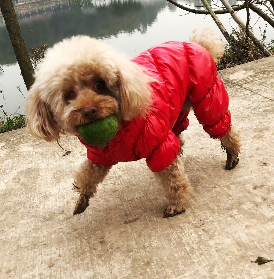 MingPhotog tweet media