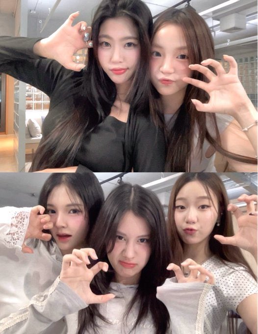 pomu 🍒 tweet media