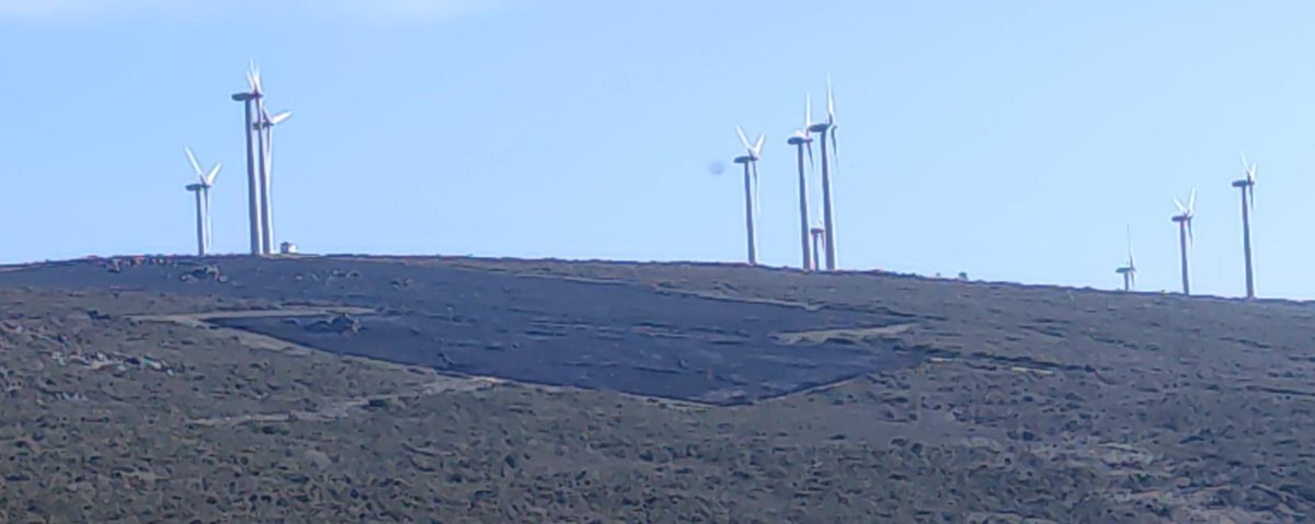 @Axentes.Galiza tweet media