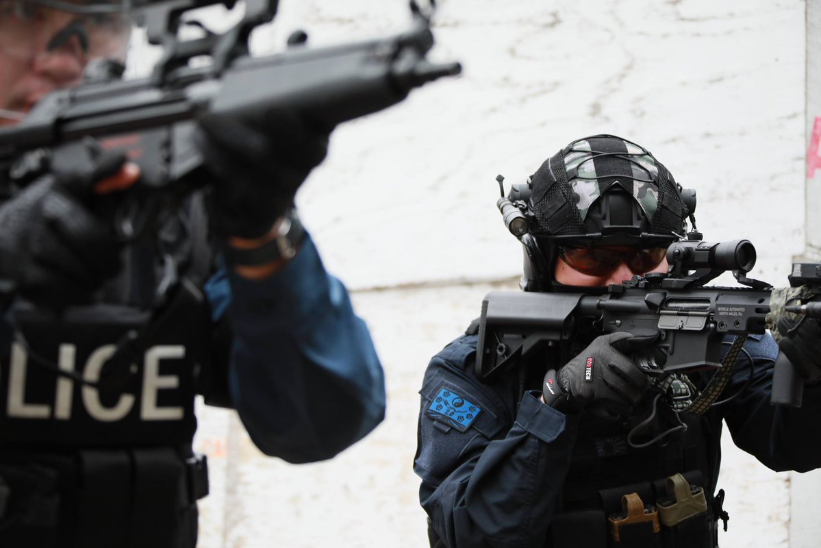 デリゴン🫡 tweet media