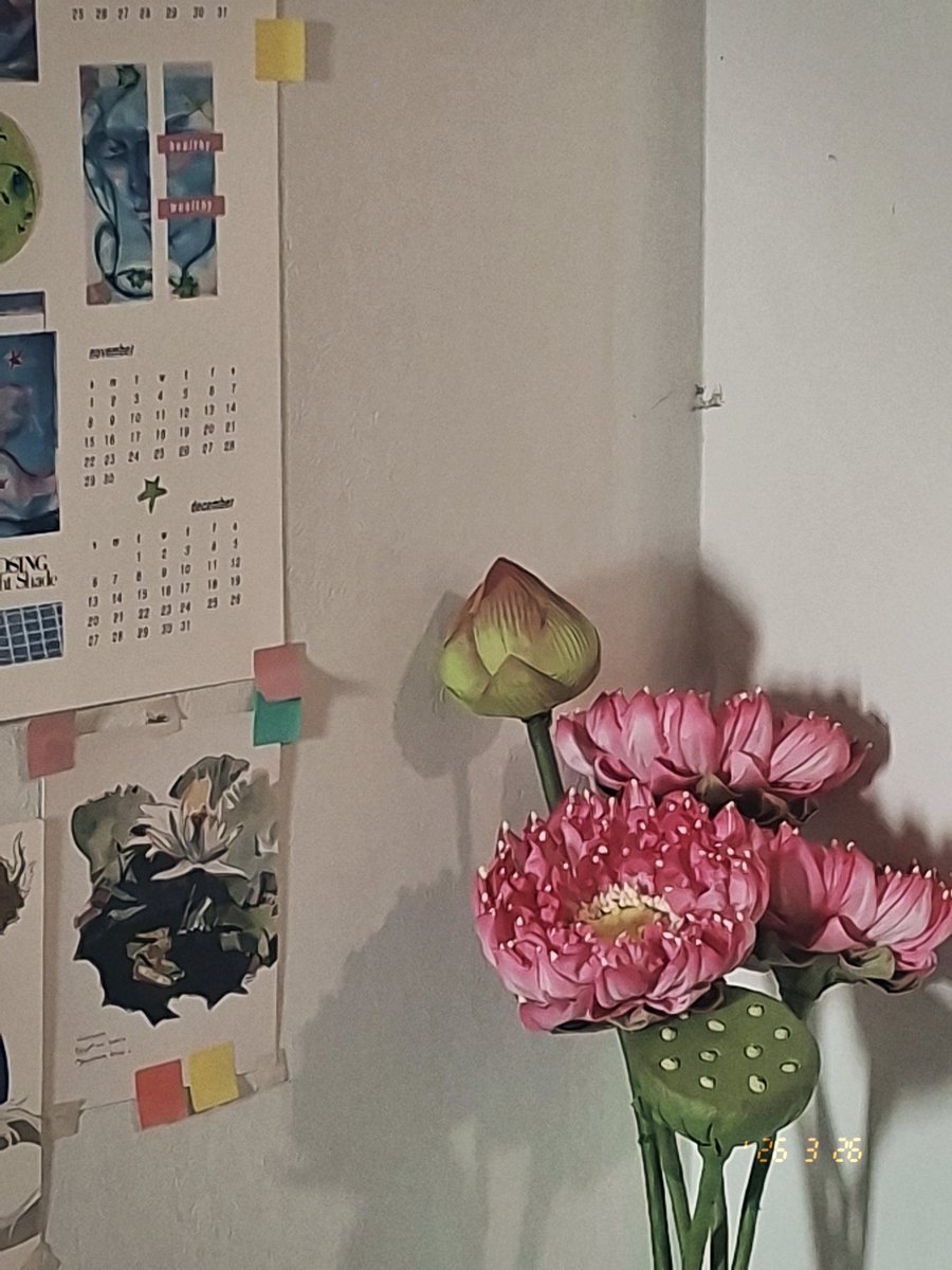 NP is 🪷 FT 天下第一 working & sleep (っ◞‸◟c) tweet media