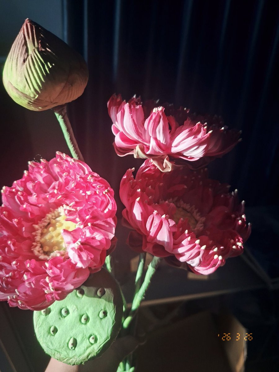 NP is 🪷 FT 天下第一 working & sleep (っ◞‸◟c) tweet media