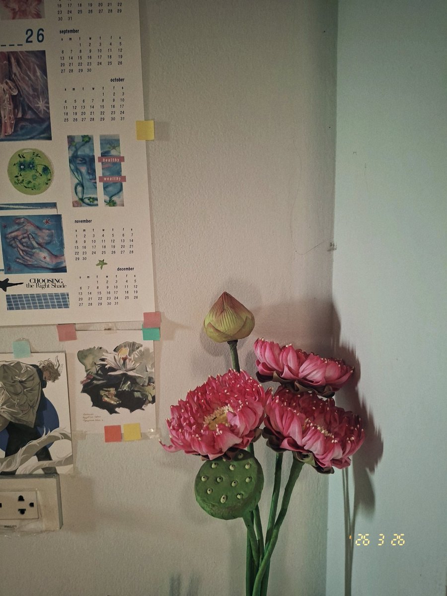 NP is 🪷 FT 天下第一 working & sleep (っ◞‸◟c) tweet media