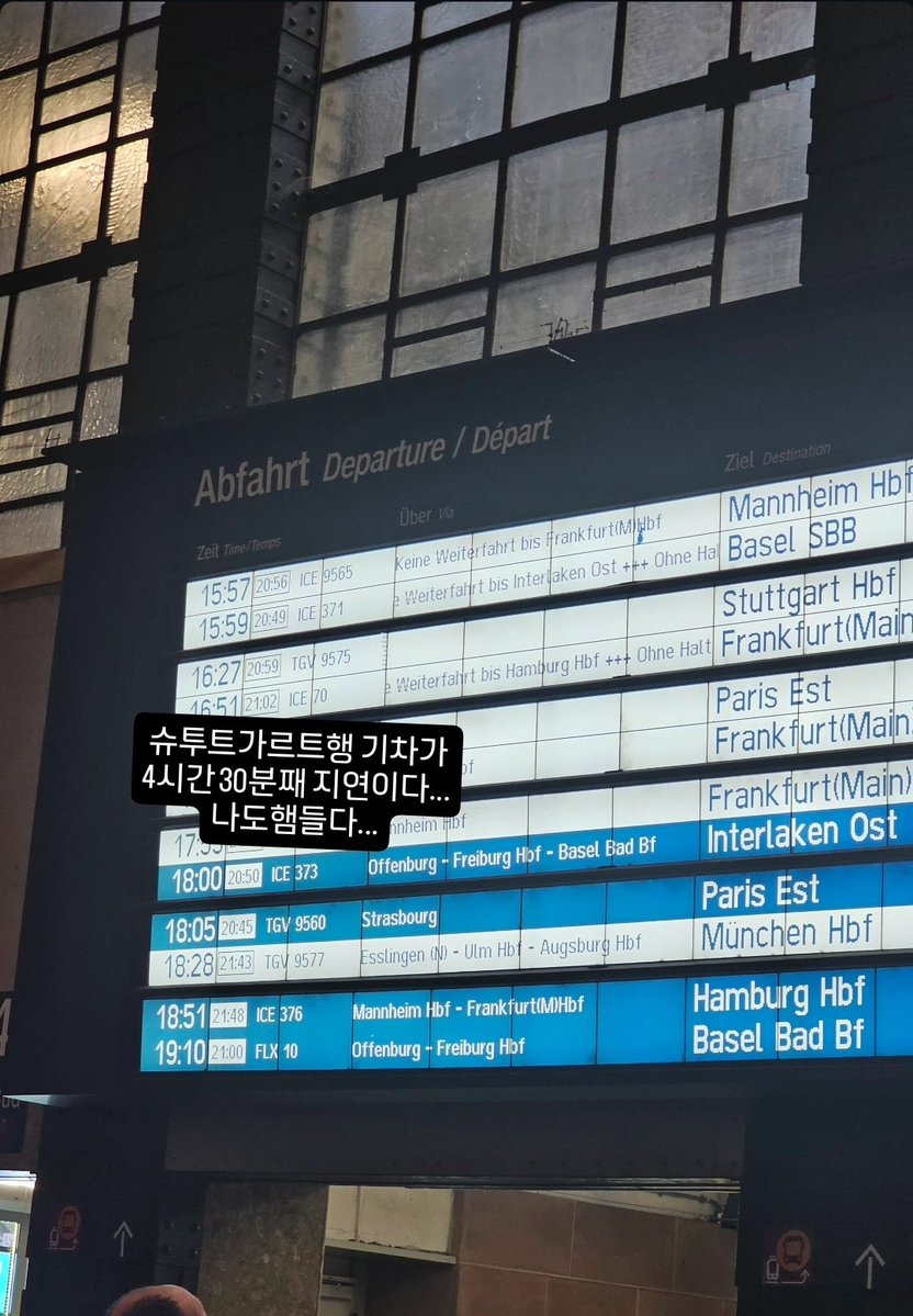 🍀하베HABE🐑🍋 tweet media