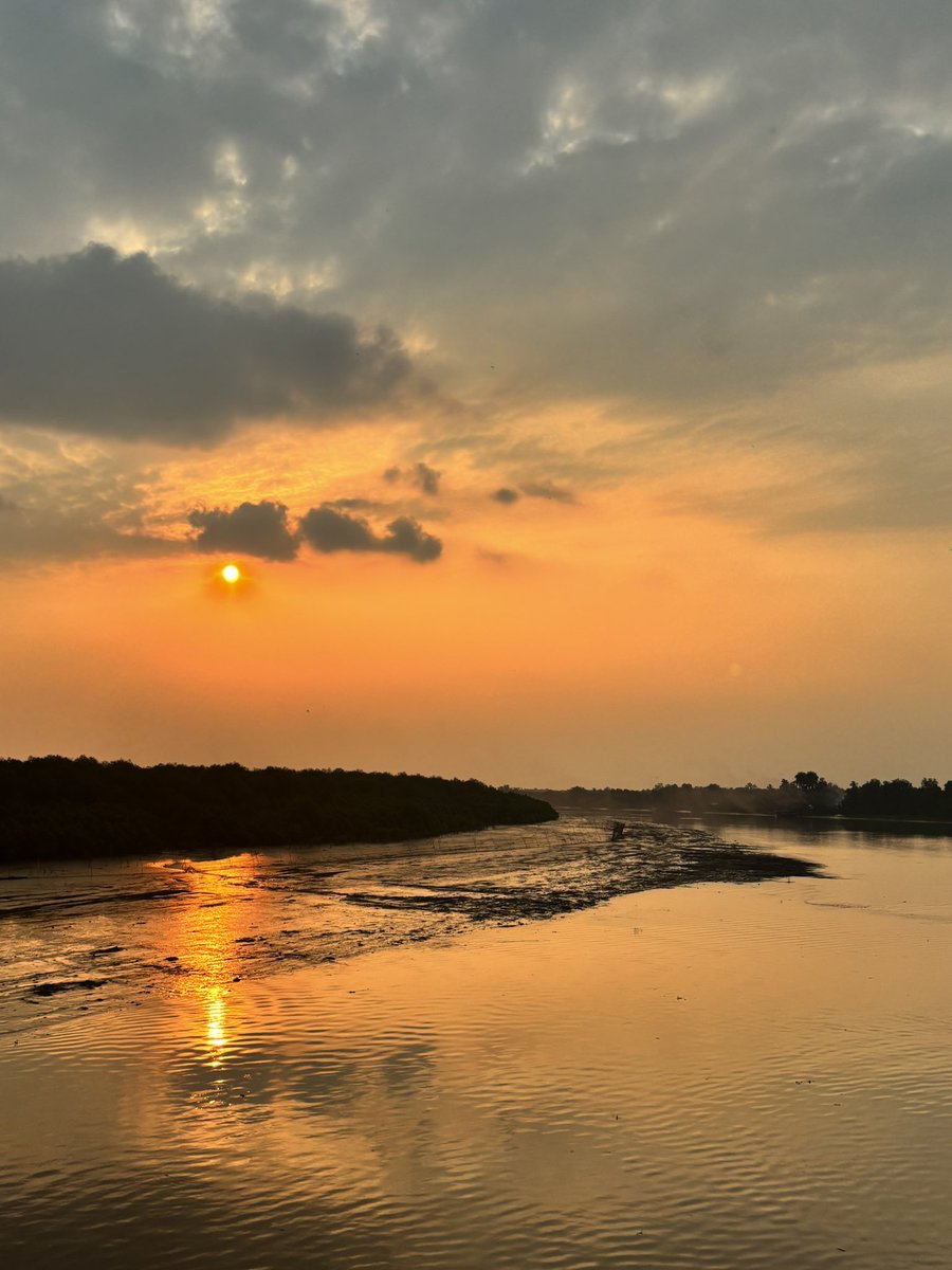 Oldblankett tweet media