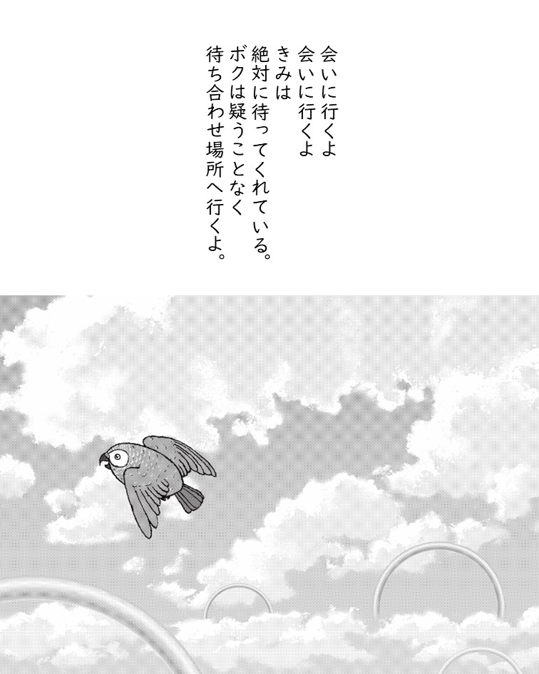 鳥美術部（Bou） tweet media