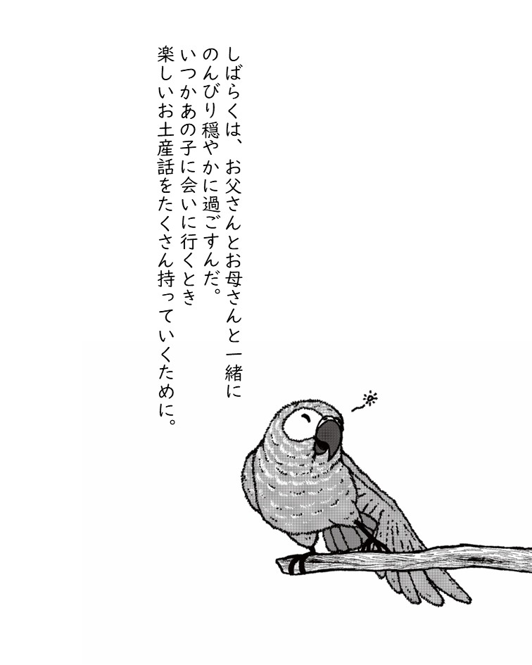 鳥美術部（Bou） tweet media