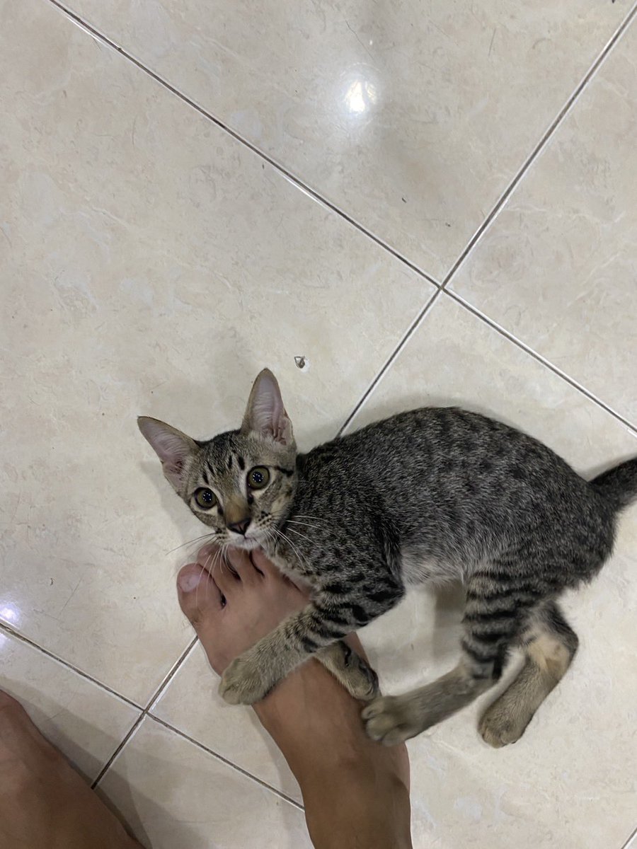 になー ✨🍦 tweet media