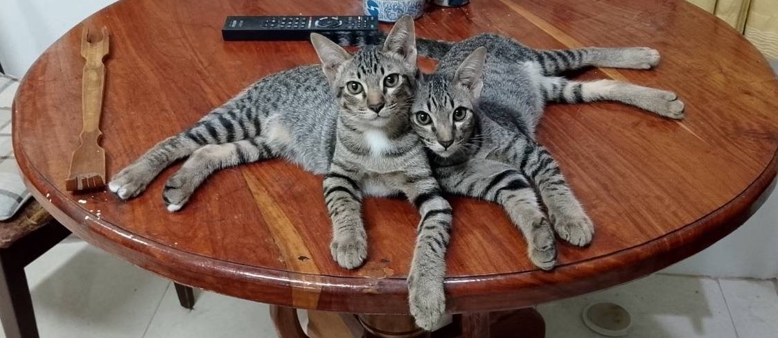 になー ✨🍦 tweet media