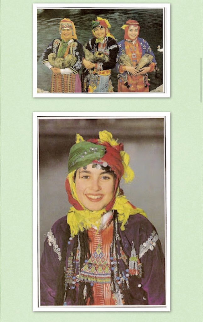 çıt çıt çedene tweet media