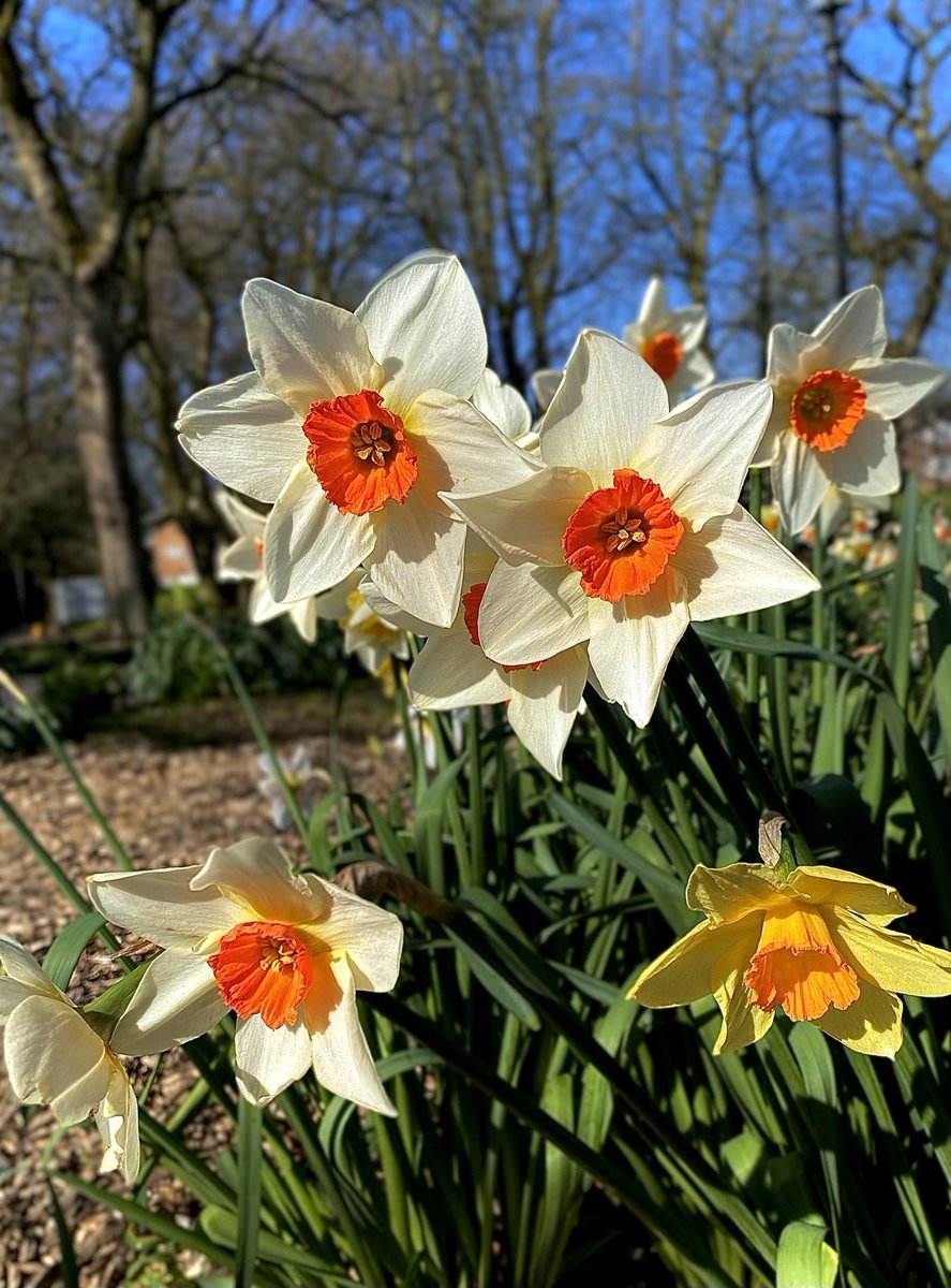 jonbruce tweet media