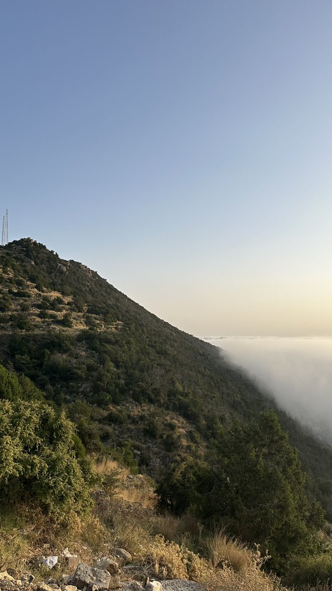 ما افهم النجاوده يعني متوقعين الجنوبي يترك كل هالجمال ويروح لديره صحراء قاحله بطيب نفس؟؟ وربي ضحك