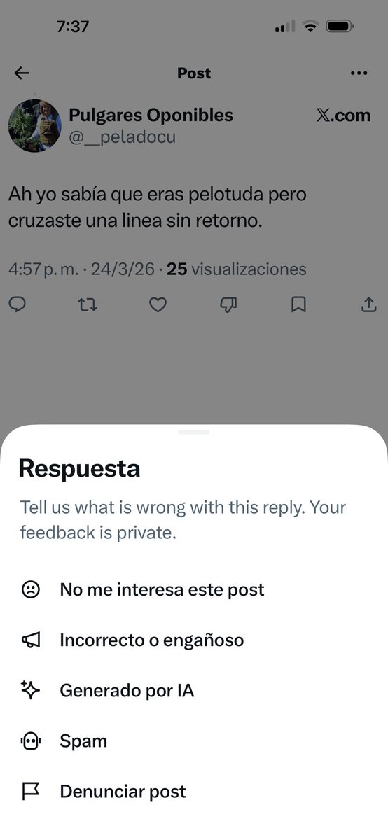 Majo 🍄 tweet media