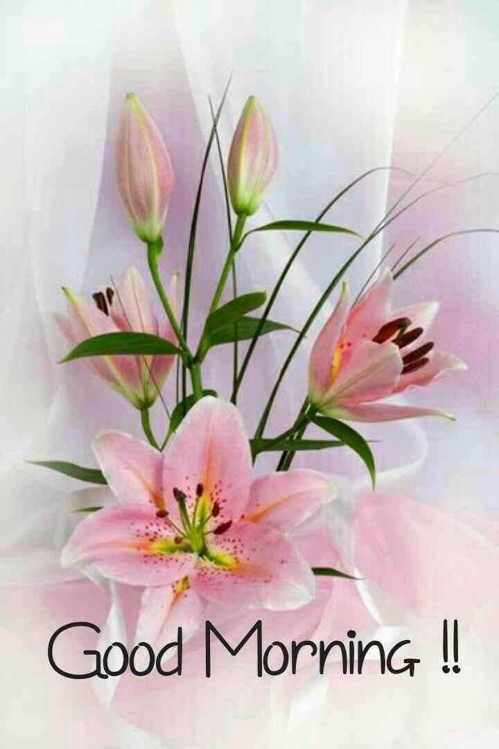 The Honey Badger (Tracy)♒☮🇺🇸 tweet media