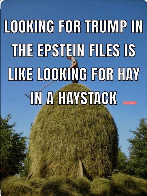 Jonathan🌊🌊🌊#VoteBlue2026 #RESIST🇺🇸 #BLUE🌊 tweet media