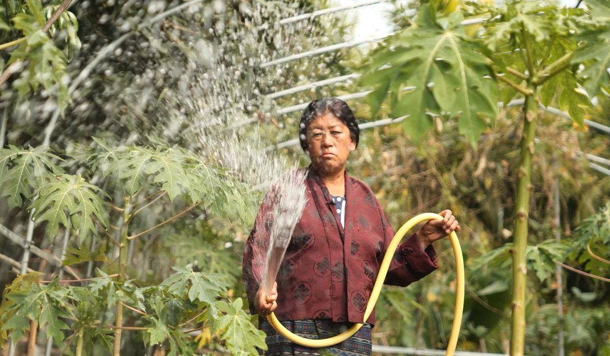 WFP_Bhutan's tweet photo. WFP Bhutan is working with district administration in Trongsa &amp; Zhemgang, @moafbhutan &amp; @TarayanaFoundn building a 𝐧𝐞𝐭𝐰𝐨𝐫𝐤 𝐨𝐟 𝐚𝐝𝐯𝐨𝐜𝐚𝐭𝐞𝐬 supporting communities access affordable &amp; nutritious food for healthier lives, leading to improved food &amp; nutrition security. https://t.co/34HStUy2SU