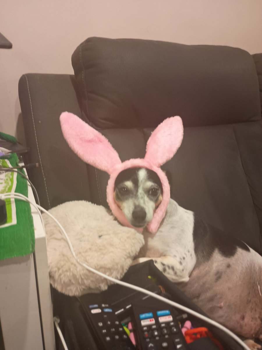 Dammit Sally tweet media