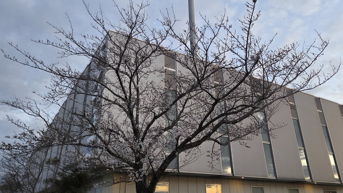 きーぼーのダーリン tweet media