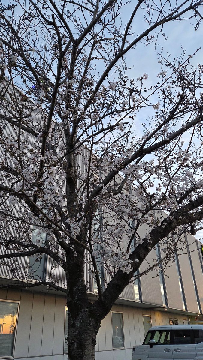 きーぼーのダーリン tweet media