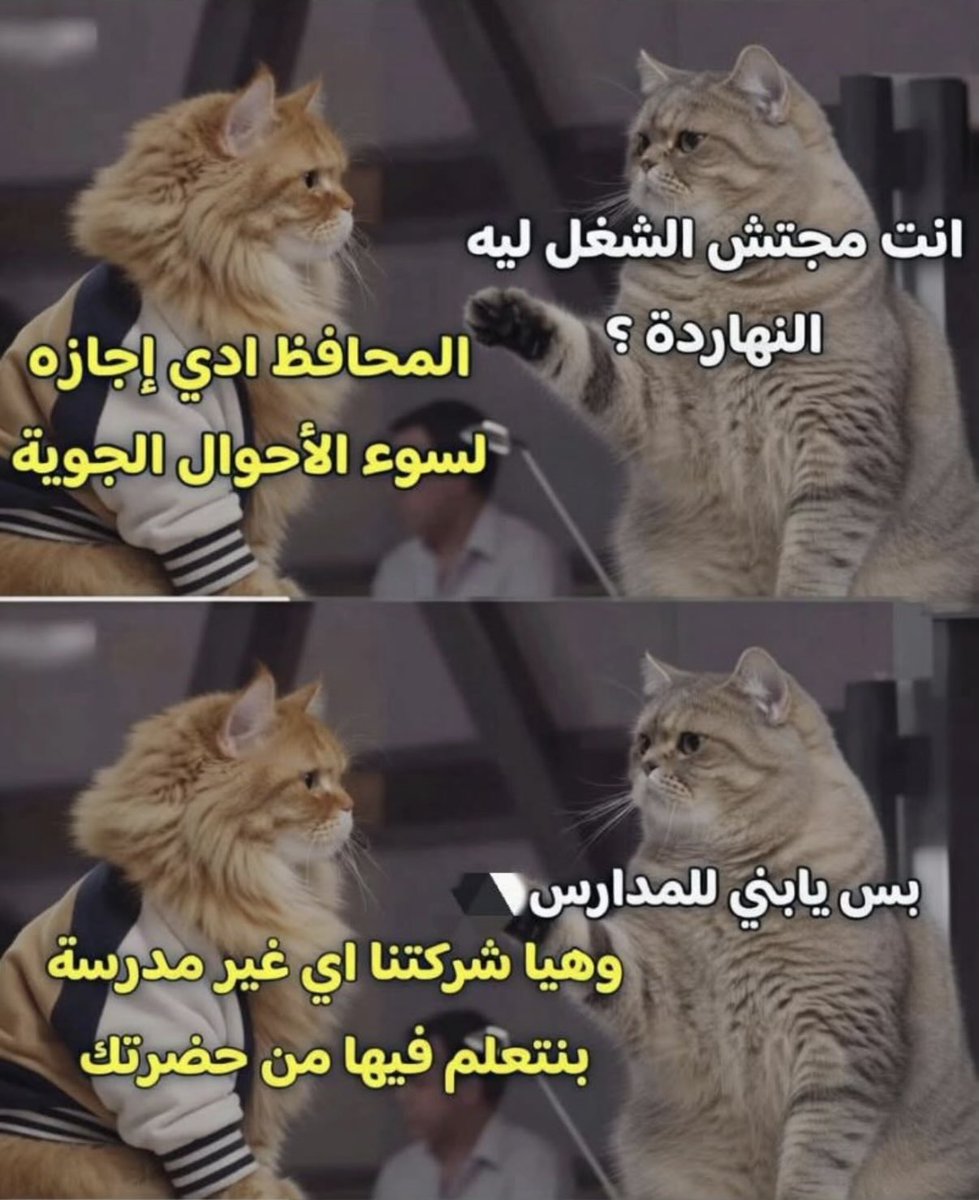 #العراق_بصورة_أوضح 
#عطلة
#عاصفة