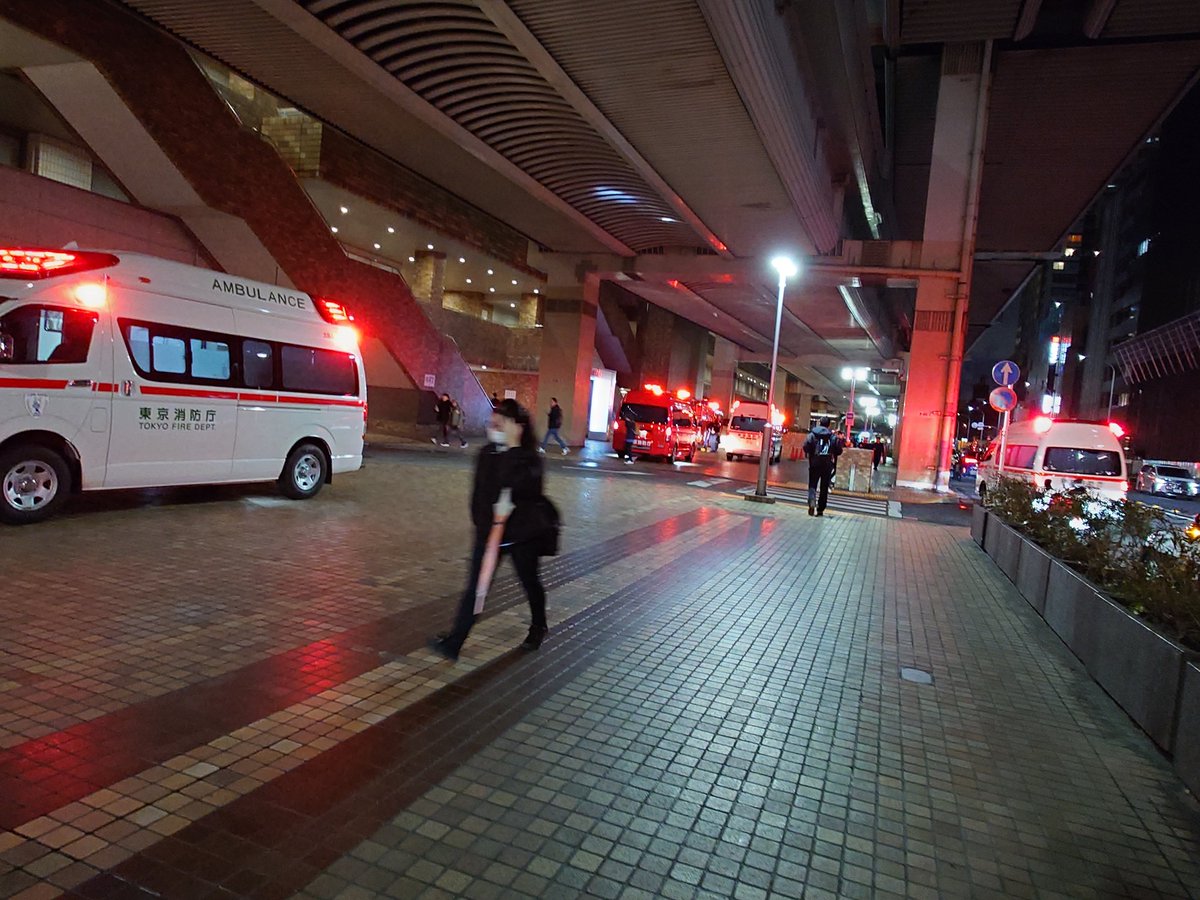 雑司ヶ谷猫（翠／PSO2･5ship） tweet media