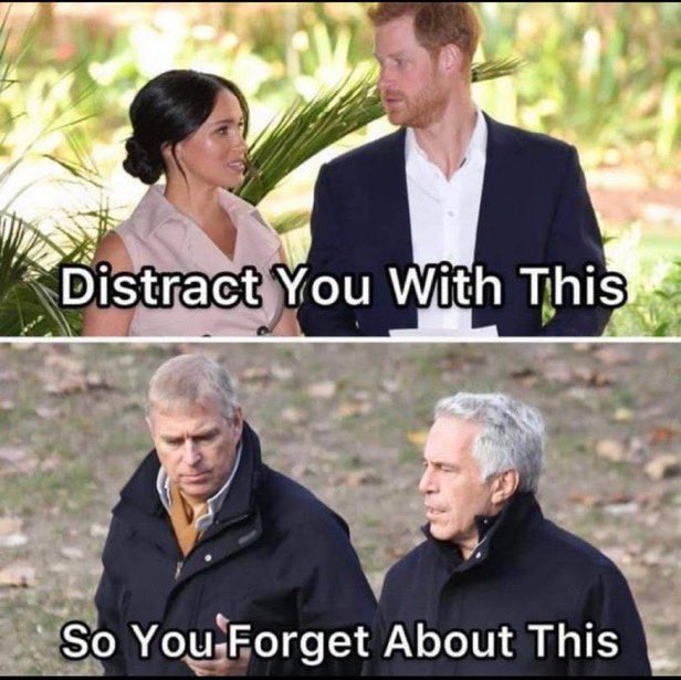 Pushkin TheCat tweet media