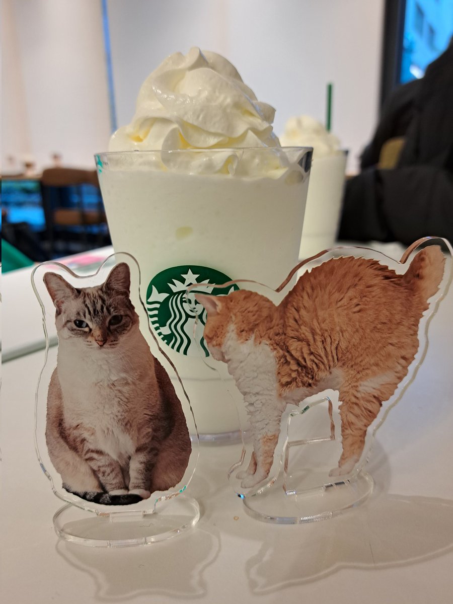 ラムキンのもやし君 tweet media