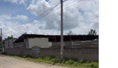 Bogibeda tweet media