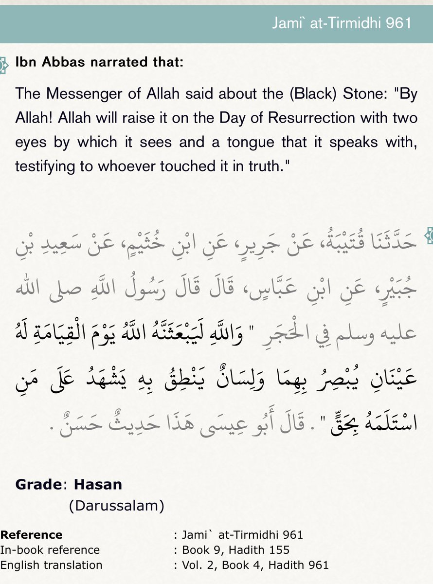 ⁜ Steven B.A. tweet media