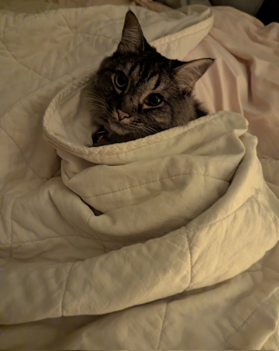 the_magic_robot's tweet photo. Here's the Snuggler baby https://t.co/7Qwu1bS953
