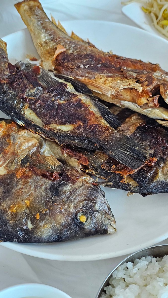 우니𓅿 tweet media