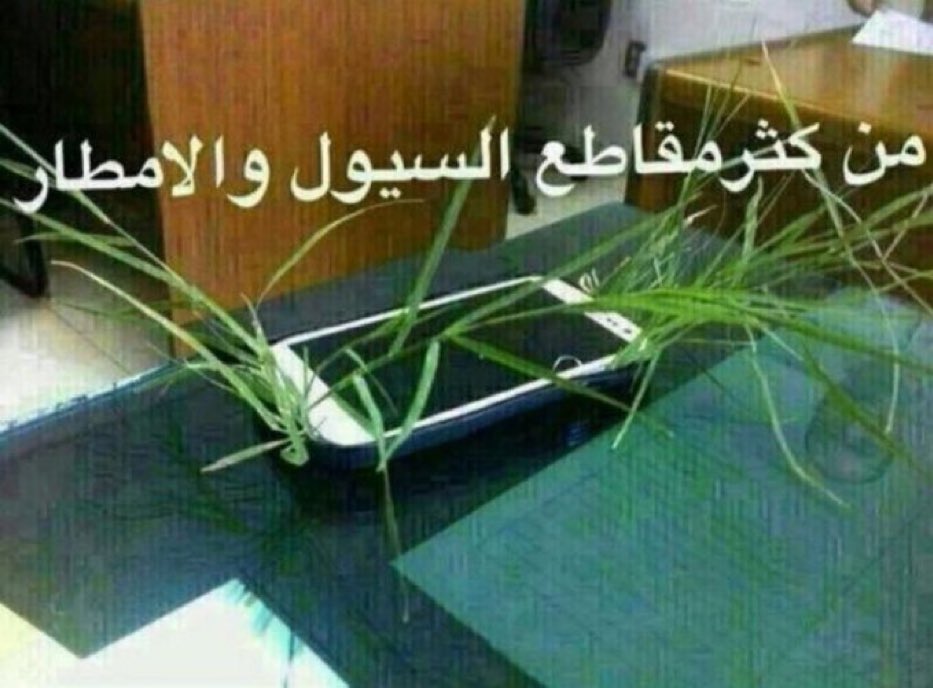 شهاب tweet media