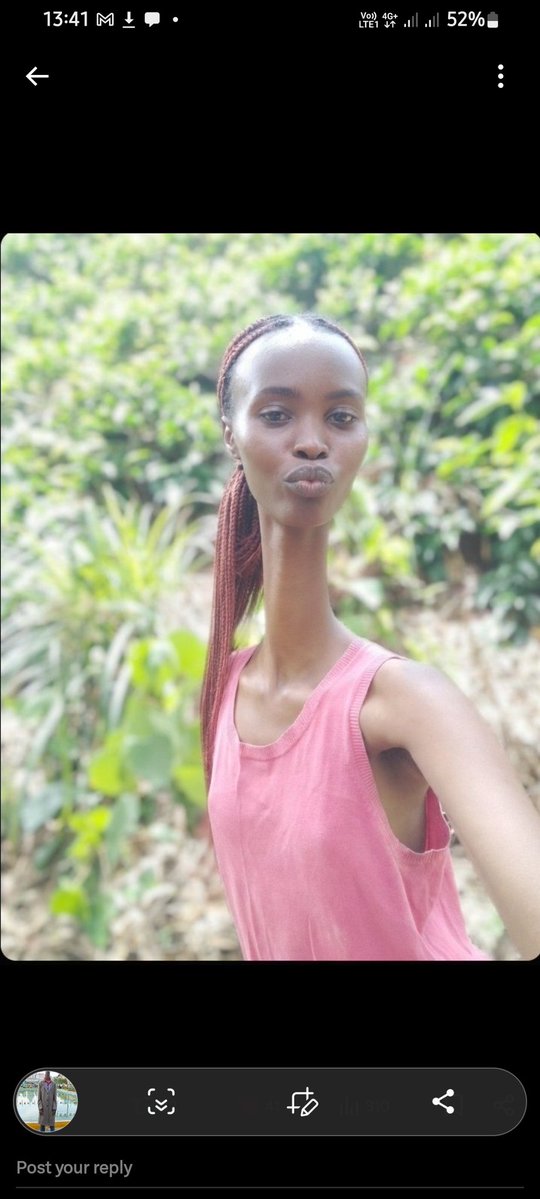 niko kadi🐋 tweet media