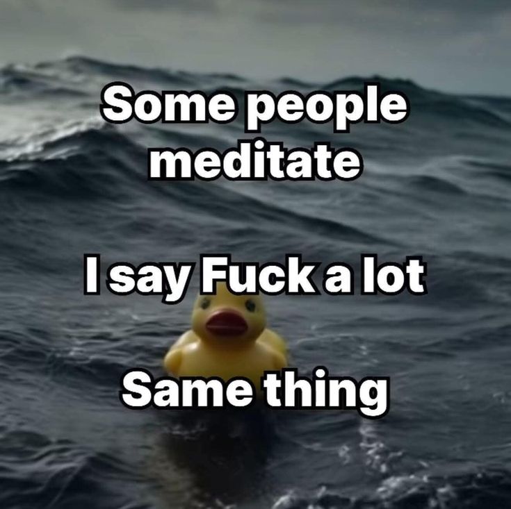 🪴B-Low🪴 tweet media