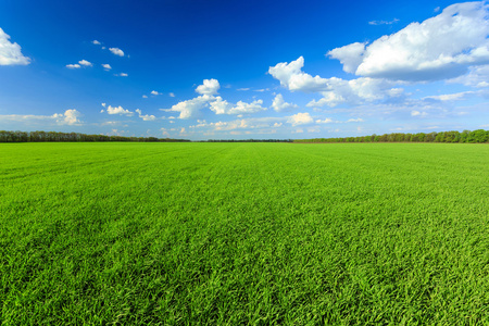 Замира Медведева tweet media