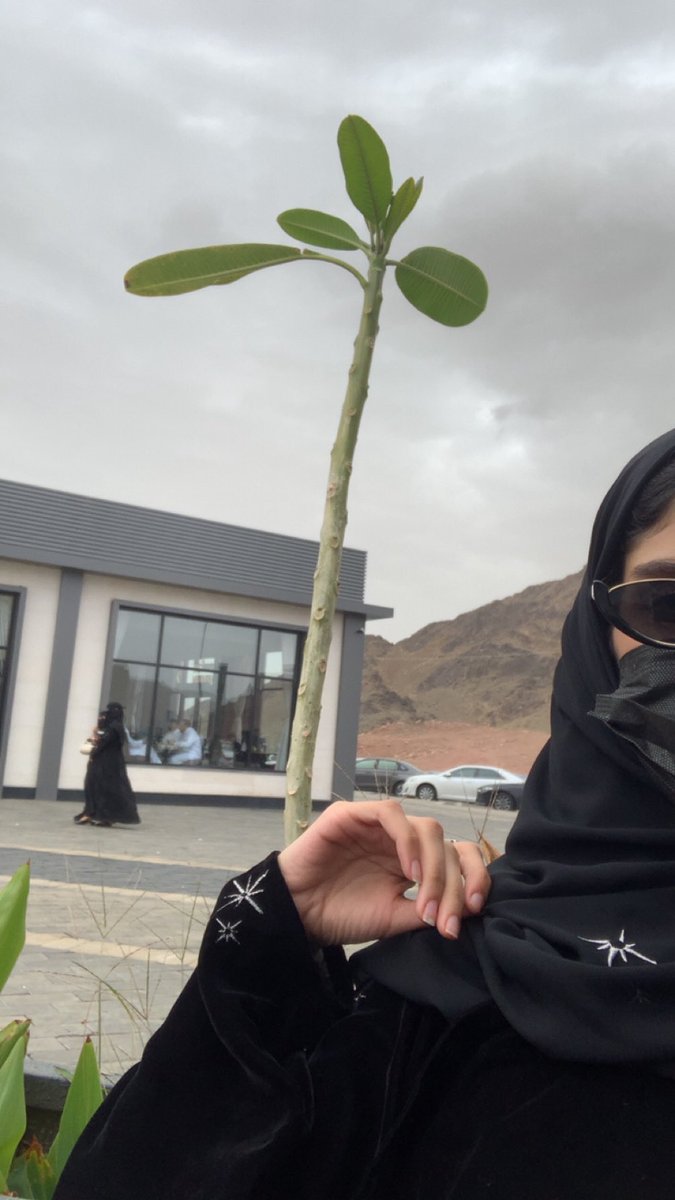 it's Rere tweet media