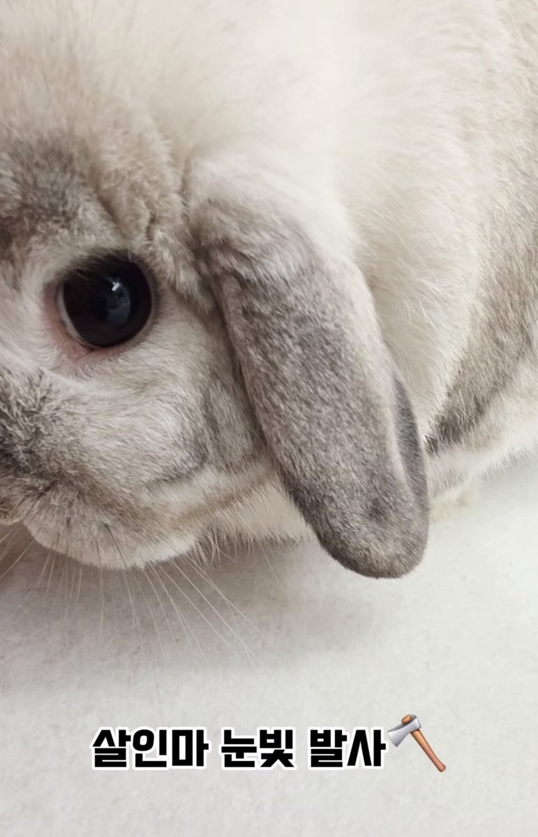 해자존니 tweet media