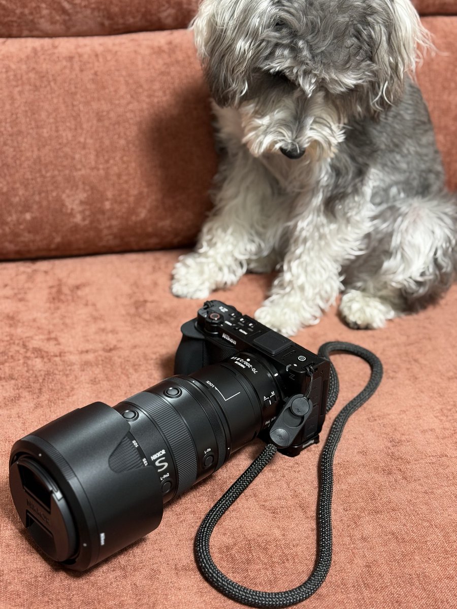 NIKKOR Z 70-200 2型
ニコンさんから先行でお借りした！
やっぱ軽いな！実践楽しみ🔥
#pr