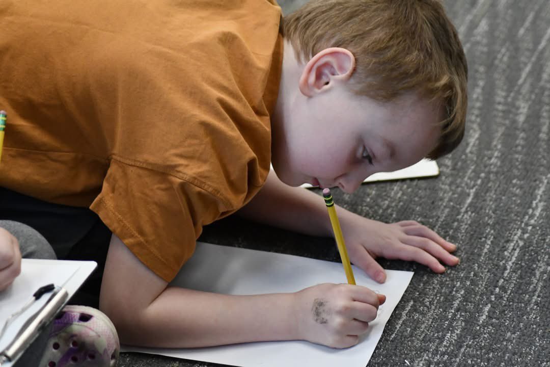 Lake Shore Public Schools tweet media