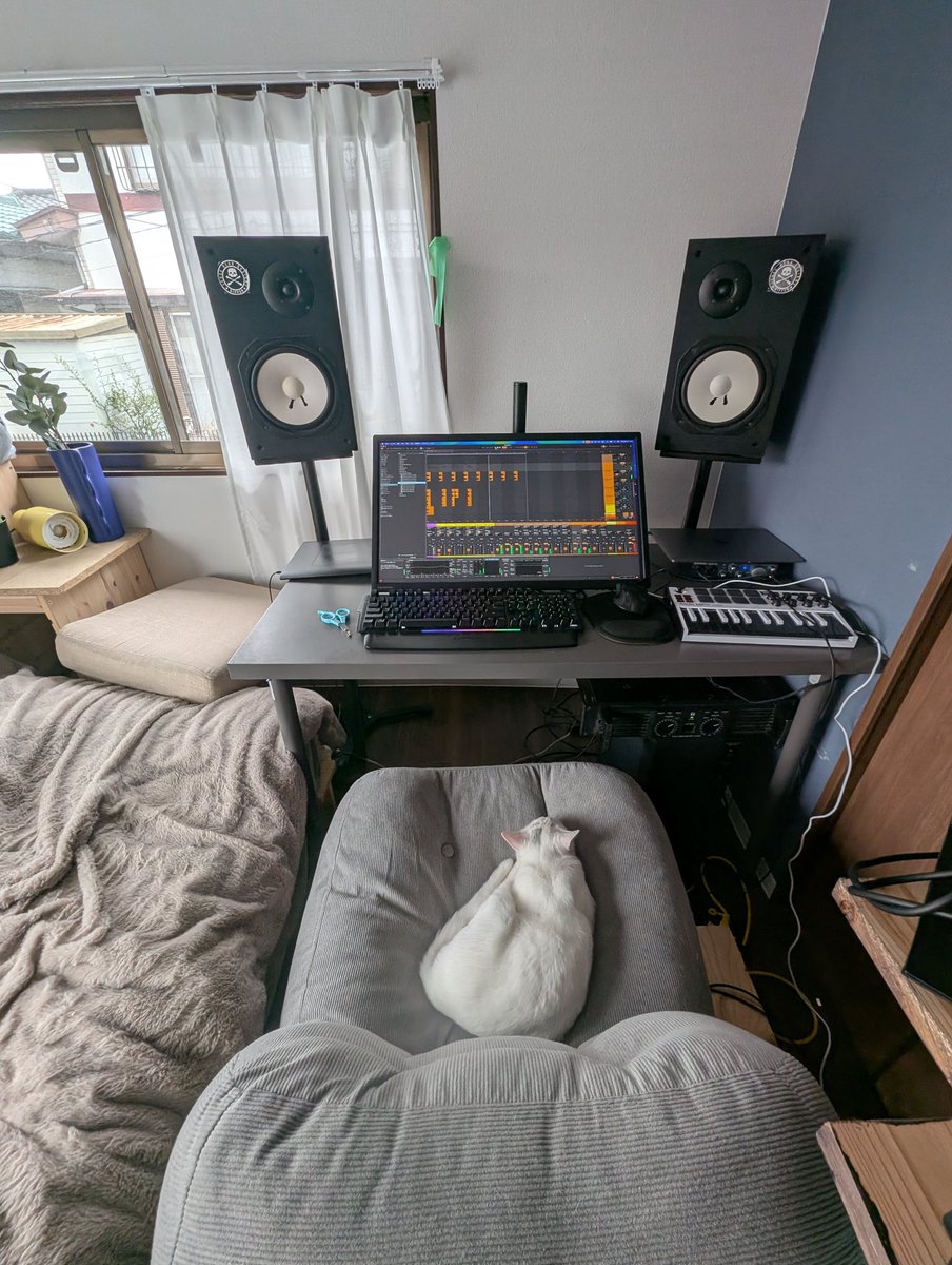 A N T I C // xoaa. tweet media