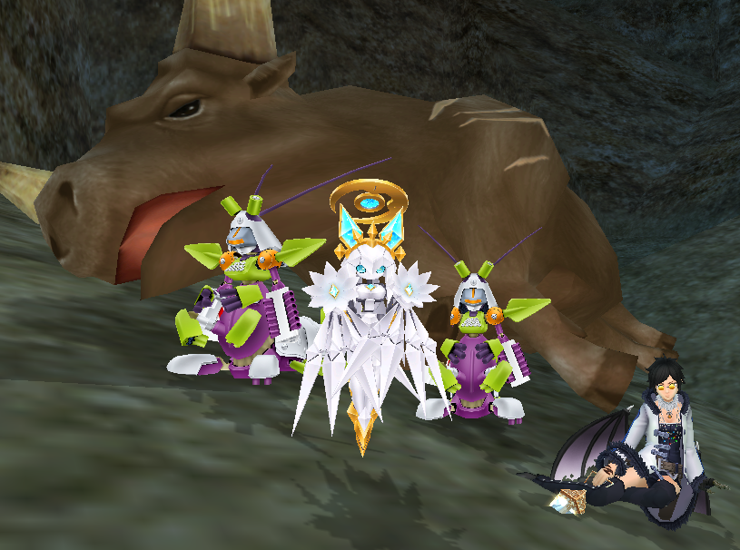 シャトノワール🐾Chaton🐈⬛ tweet media