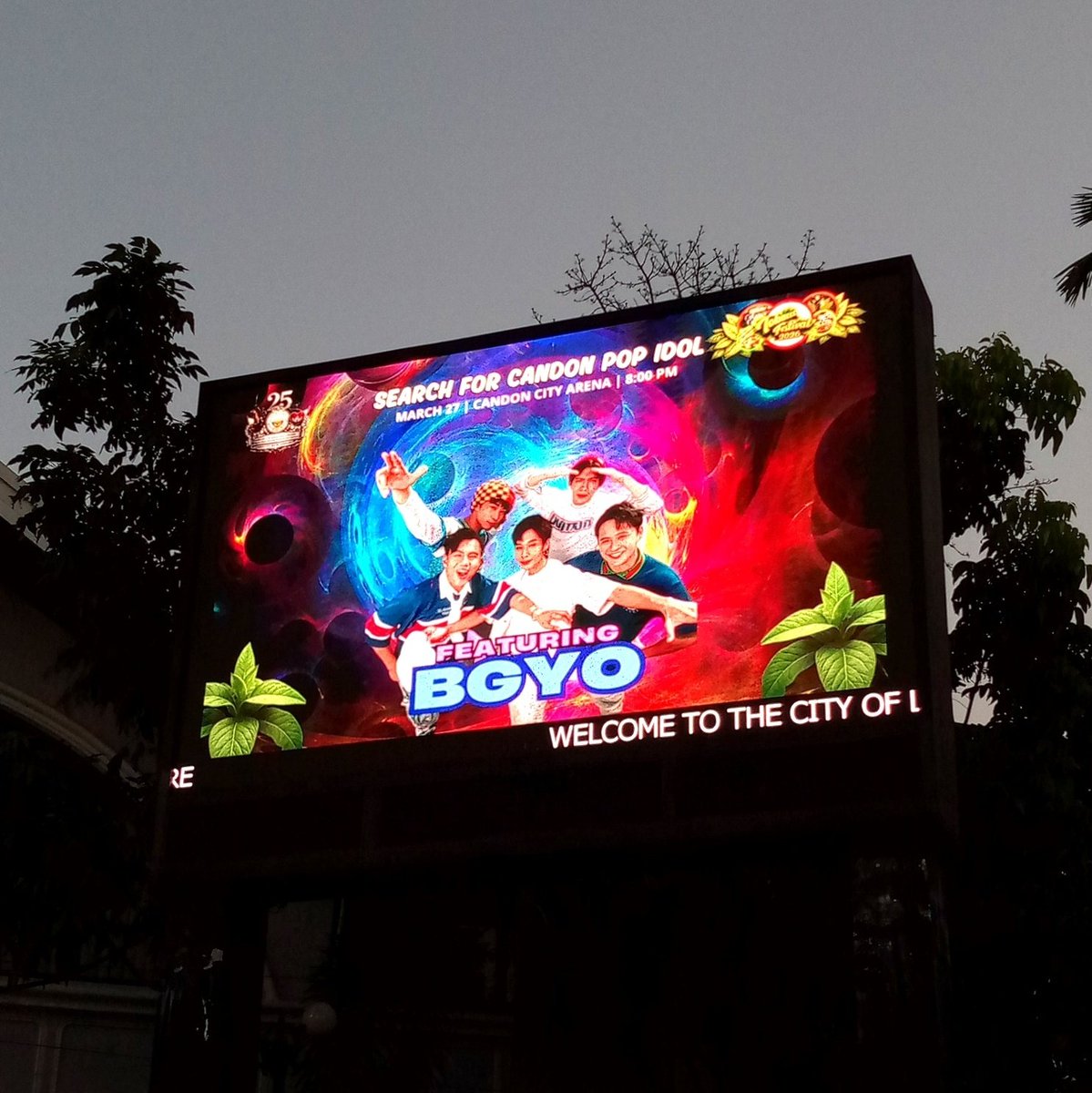 ACEs Ilocos tweet media