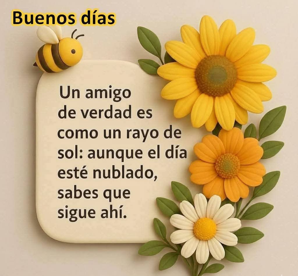 Rayito Suarez tweet media