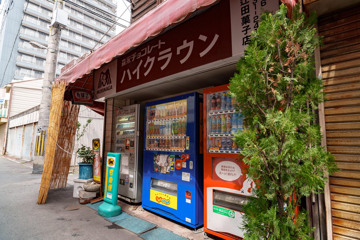 ネコ温泉♨ tweet media