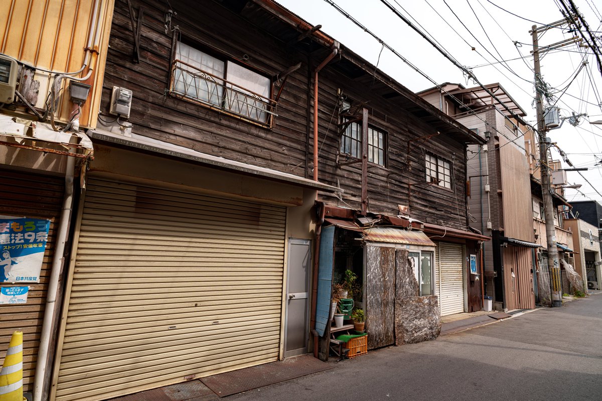 ネコ温泉♨ tweet media