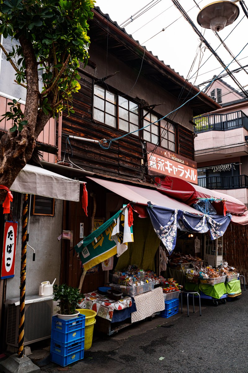 ネコ温泉♨ tweet media